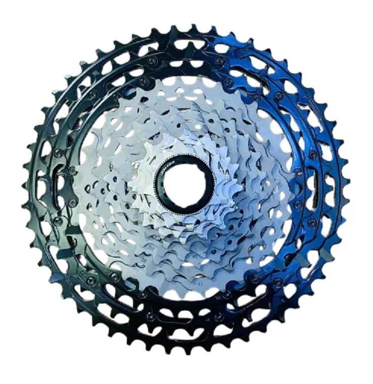 3-removebg-preview (3)