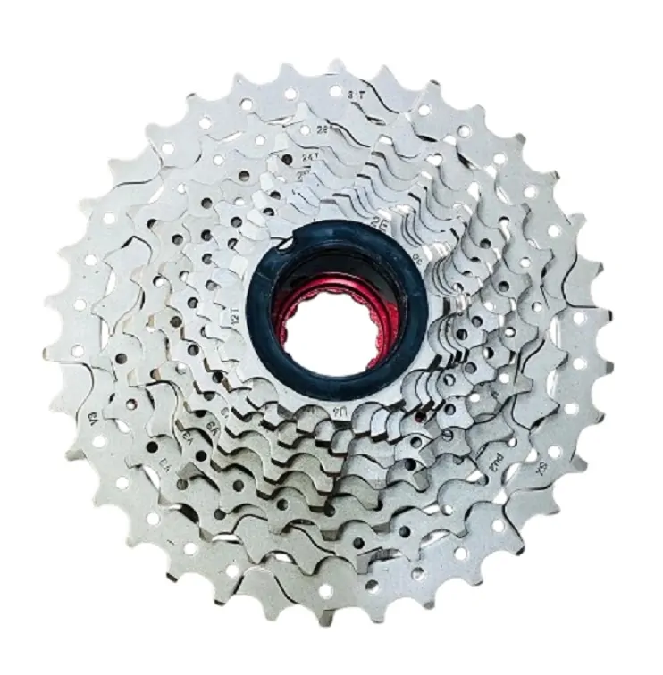 B-removebg-preview (21)