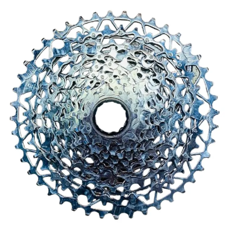 A-removebg-preview (13)