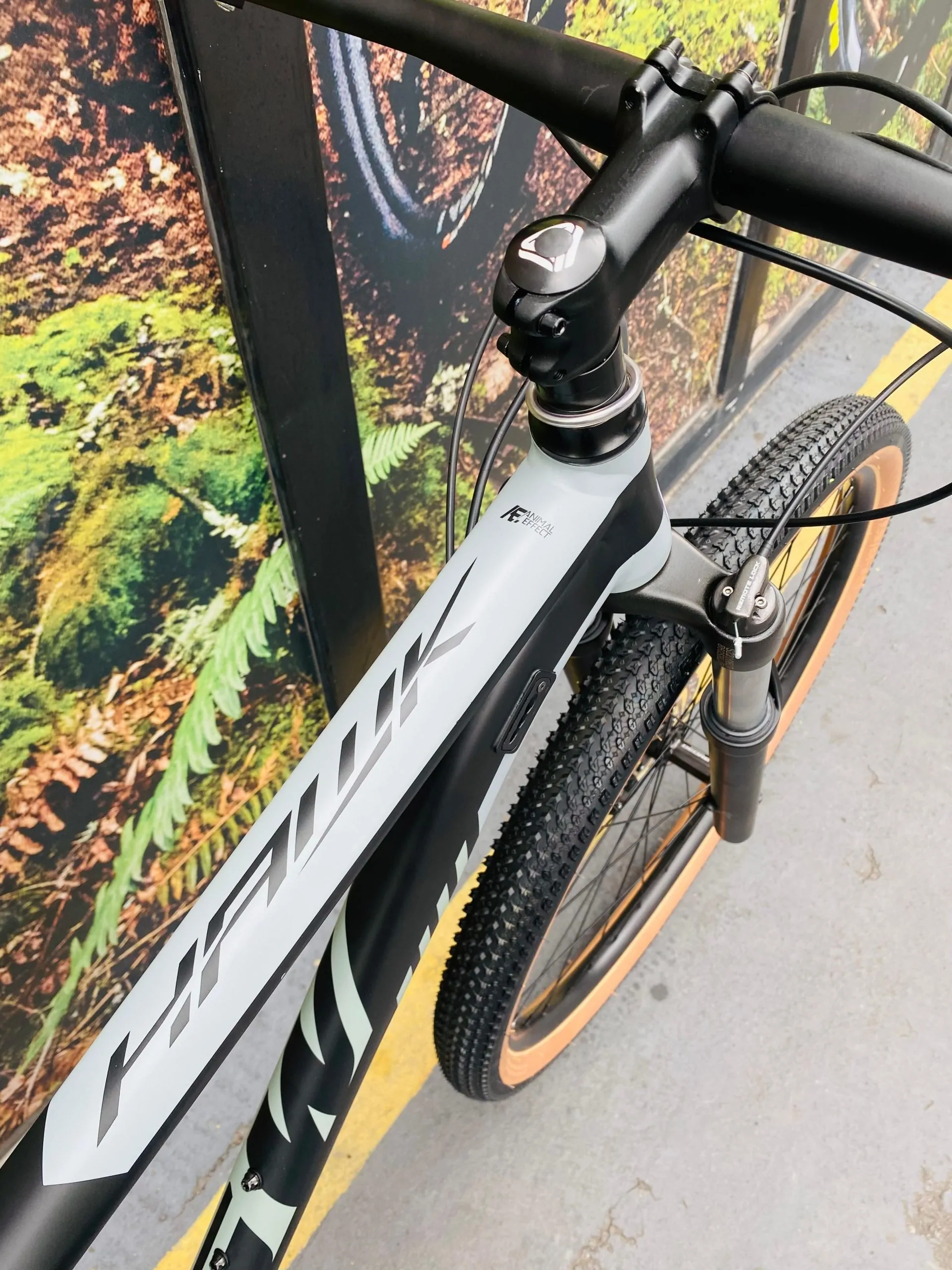 DD BICICLETA MTB GW HAWK 1X12VEL DEORE (060733) - Imagen 4